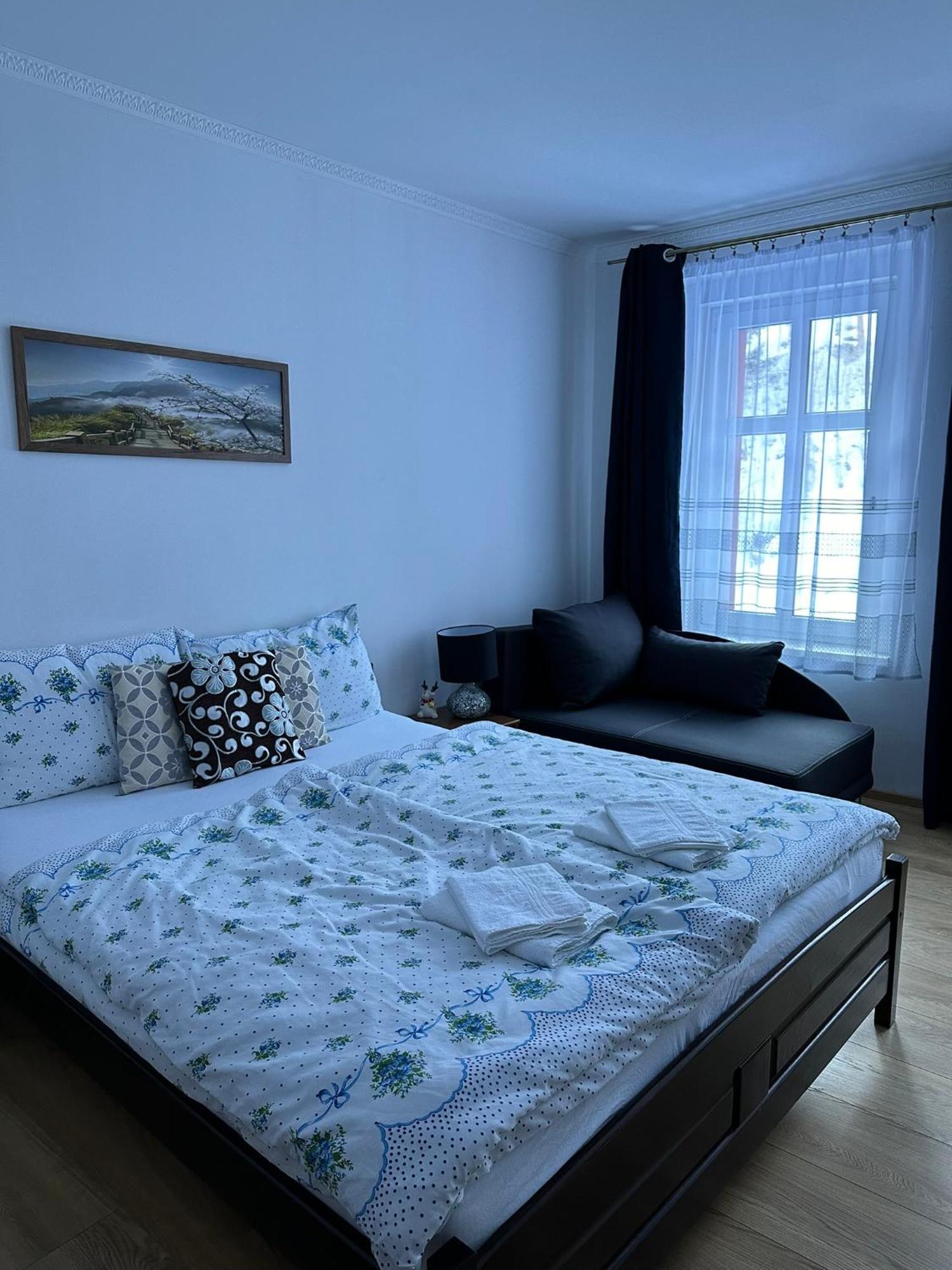 Apartman V Krusnych Horach-Free Parking Jachymov Ngoại thất bức ảnh